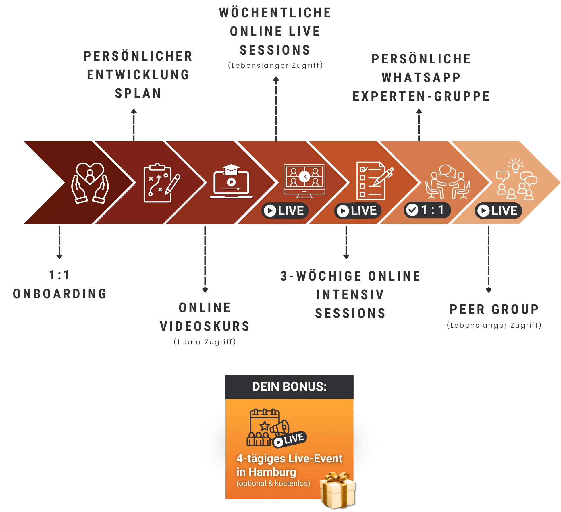 NLL-Methode-Uebersichtplan NLL-Methode grafische Darstellung der einzelnen Inhalte inkl. Bonus